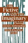 The Fictive and the Imaginary cover