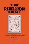 Slave Rebellion in Brazil cover