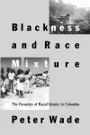 Blackness and Race Mixture cover