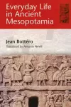 Everyday Life in Ancient Mesopotamia cover