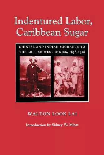 Indentured Labor, Caribbean Sugar cover