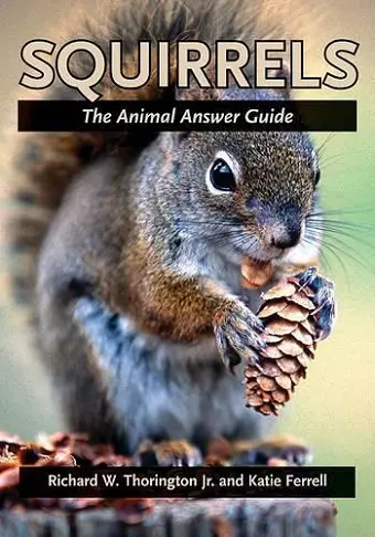 Squirrels cover