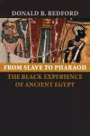 From Slave to Pharaoh cover