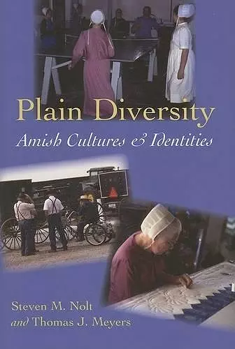 Plain Diversity cover