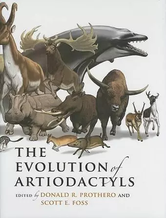 The Evolution of Artiodactyls cover