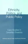 Ethnicity, Politics, and Public Policy cover