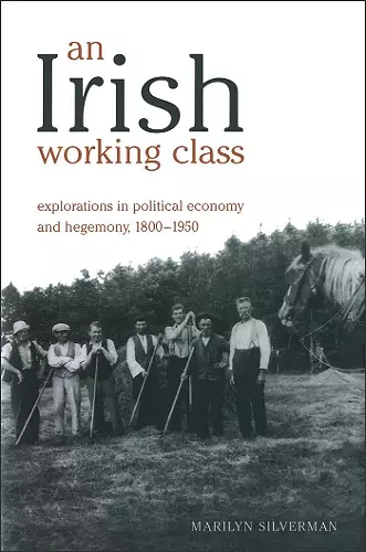 An Irish Working Class cover