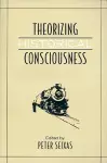 Theorizing Historical Consciousness cover