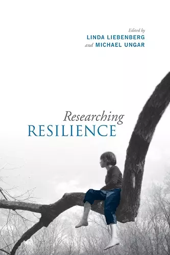 Researching Resilience cover