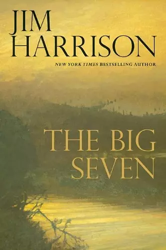 The Big Seven cover