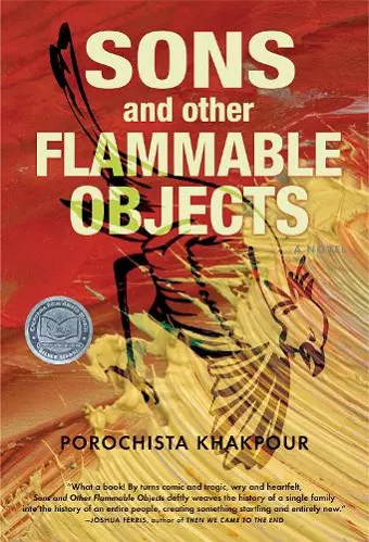 Sons and Other Flammable Objects cover