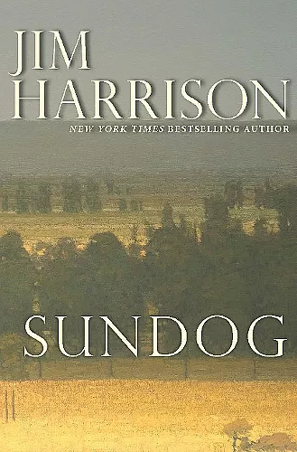 Sundog cover