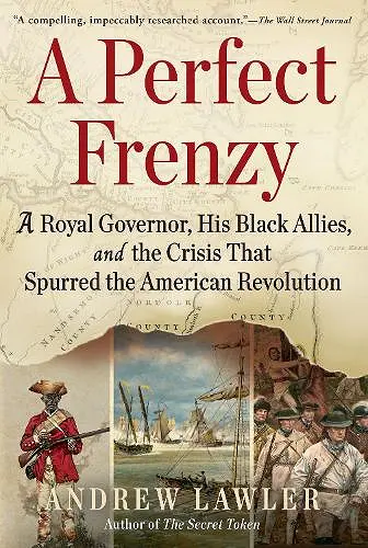 A Perfect Frenzy cover