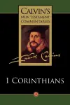 Calvin's New Testament Commentaries cover