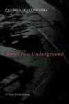 Notes from Underground cover