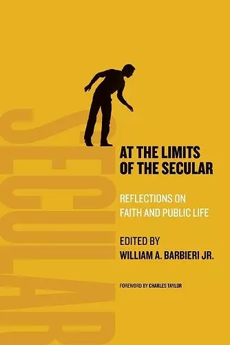 At the Limits of the Secular cover