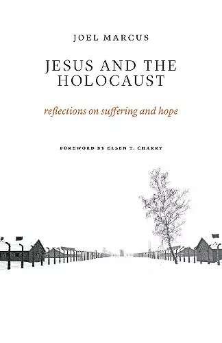 Jesus and the Holocaust cover