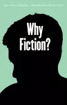 Why Fiction? cover
