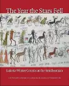 The Year the Stars Fell cover