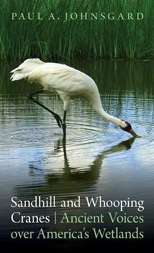 Sandhill and Whooping Cranes cover