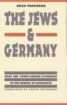 The Jews and Germany cover
