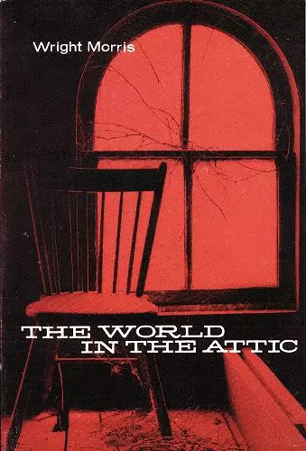 The World in the Attic cover