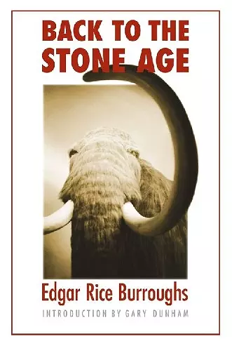 Back to the Stone Age cover