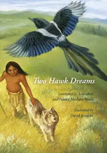 Two Hawk Dreams cover