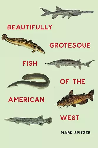 Beautifully Grotesque Fish of the American West cover