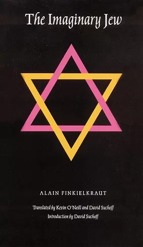 The Imaginary Jew cover
