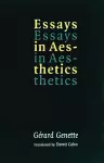 Essays in Aesthetics cover
