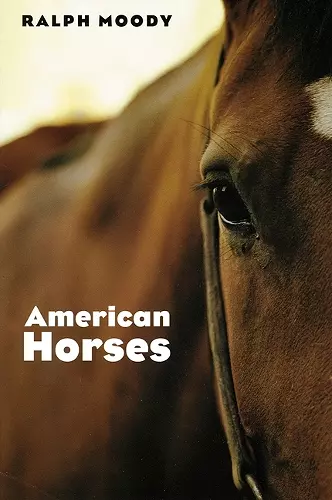 American Horses cover