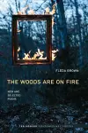 The Woods Are On Fire cover