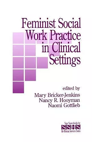 Feminist Social Work Practice in Clinical Settings cover