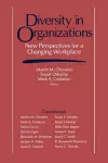 Diversity in Organizations cover