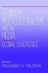 Feminism, Multiculturalism, and the Media cover