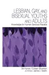 Lesbian, Gay, and Bisexual Youths and Adults cover