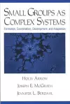 Small Groups as Complex Systems cover