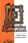 Experiencing Organizations cover