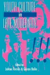 Youth Culture in Late Modernity cover