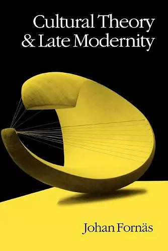 Cultural Theory and Late Modernity cover