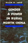 Gender and Power in Rural North China cover