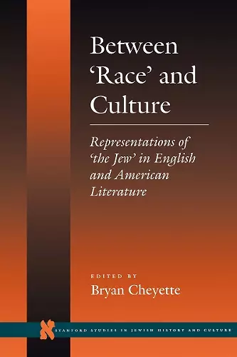 Between ‘Race’ and Culture cover