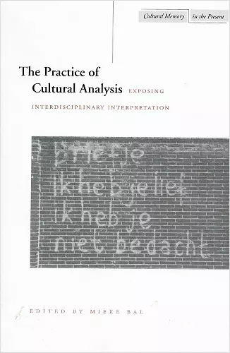 The Practice of Cultural Analysis cover