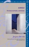 Adieu to Emmanuel Levinas cover