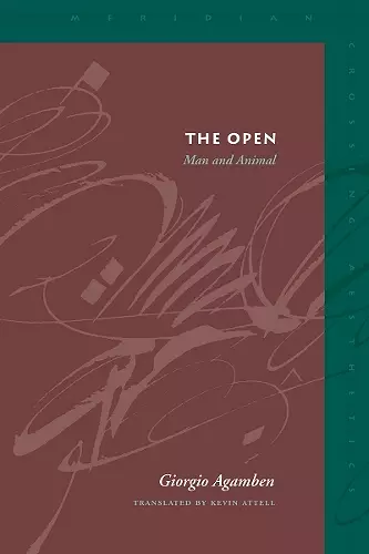 The Open cover