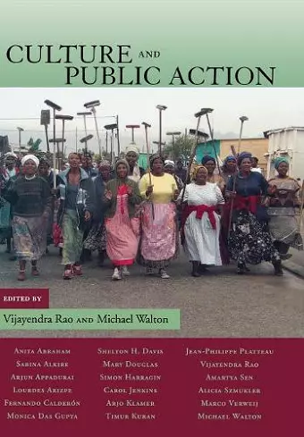 Culture and Public Action cover