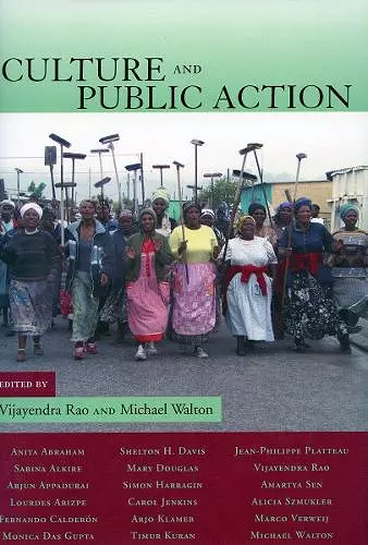 Culture and Public Action cover