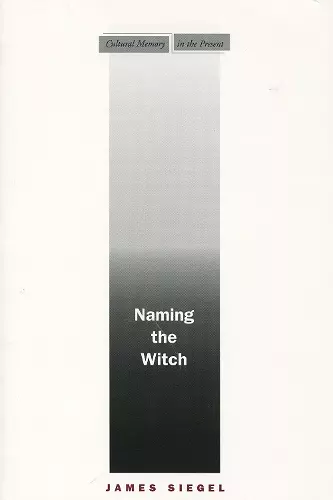 Naming the Witch cover