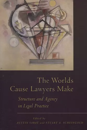 The Worlds Cause Lawyers Make cover